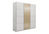 Шкаф-купе Прайм 3-х дверный (ЛДСП, Стекло фисташка) окутанный